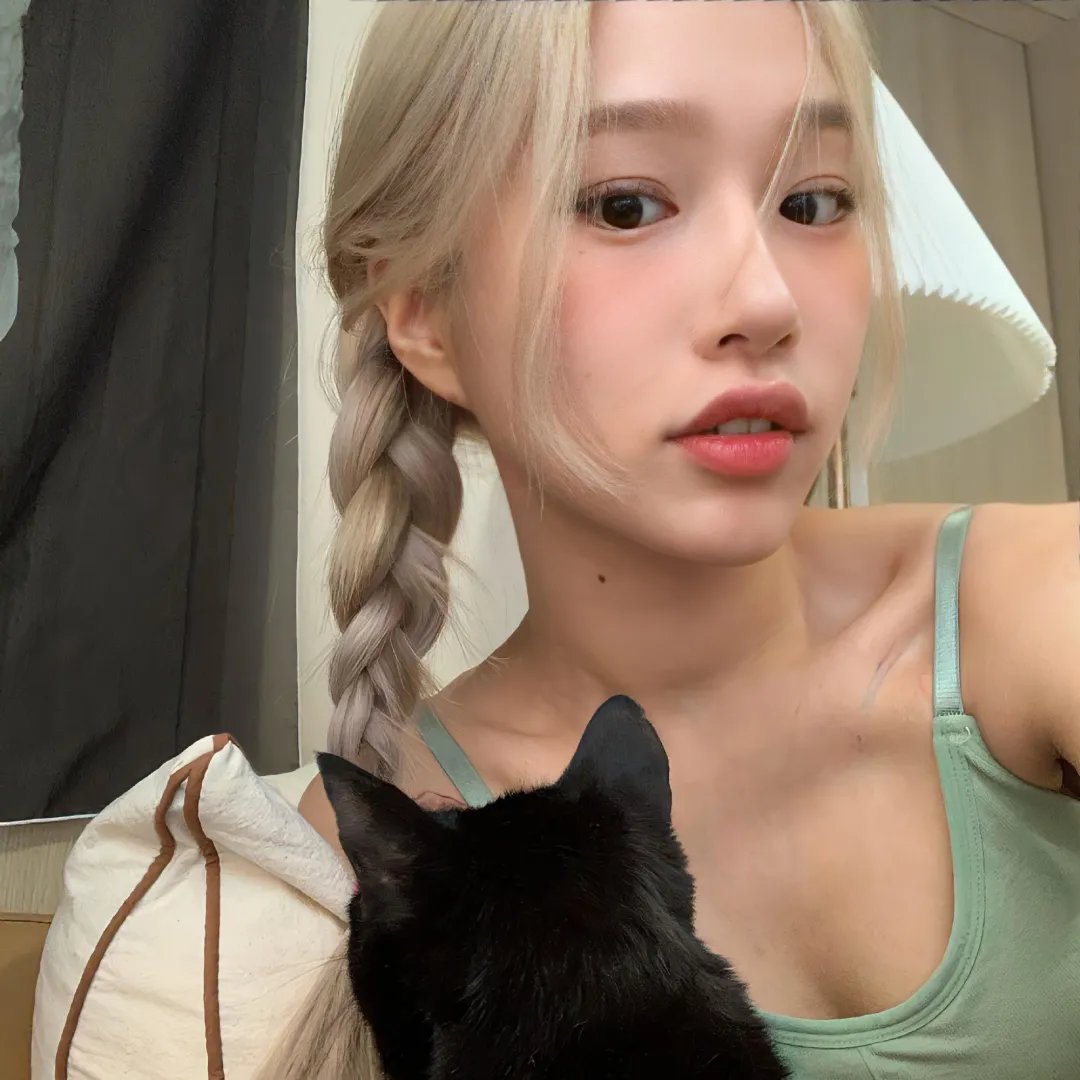 如果猫从世界上消失