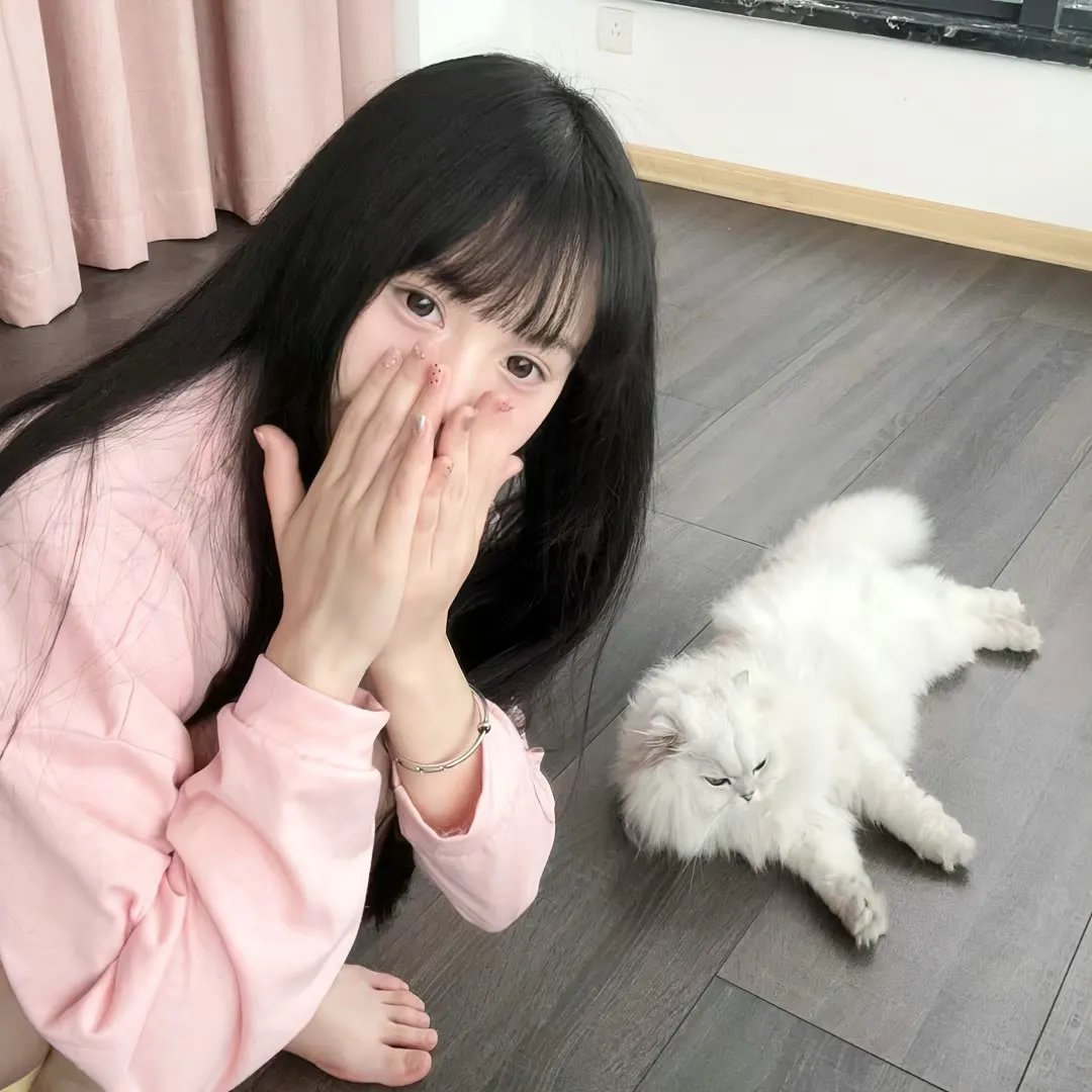 新金山罗宾汉