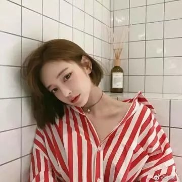 白骆驼